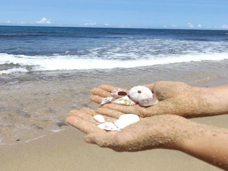 Front Beach Luxury Apartment リンコン